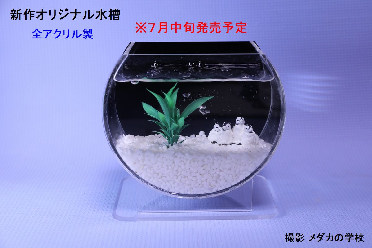 オリジナル水槽